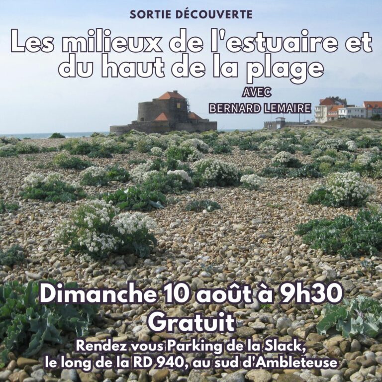 Découvrez les Merveilles de l'Estuaire de la Slack avec Bernard Lemaire