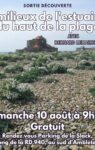 Découvrez les Merveilles de l’Estuaire de la Slack avec Bernard Lemaire