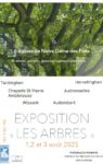 « Les Arbres » : Une exposition artistique au cœur des églises du littoral