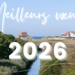 Bonne année 2026