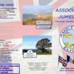 Flyer de l’Association de jumelage « Amitiés Ambleteuse–Elham » sur fond de drapeau britannique. À droite, le logo circulaire de l’association avec les paysages d’Ambleteuse et d’Elham, accompagné des drapeaux français et britannique. Plusieurs photos illustrent les deux communes : un panneau d’entrée d’Ambleteuse en bord de mer, un paysage rural d’Elham, une rivière bordée d’arbres, un village anglais typique et une église de nuit. Le flyer présente un bulletin d’adhésion avec coordonnées, tarifs (10 € personne seule, 15 € couple, 20 € famille), contact par mail et par courrier. Un encadré précise que parler anglais n’est pas indispensable. Le verso explique les objectifs du jumelage, favorisant les échanges culturels, sportifs, scolaires et sociaux entre habitants. Une liste de projets est affichée : visites, rencontres sportives, pétanque, cuisine, histoire, chorale, peinture, randonnées, photographie, jardins, club de correspondance et tables de conversation. Le document invite les habitants à rejoindre l’association pour développer les liens franco-britanniques.
