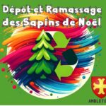 Collecte des Sapins de Noël 2026