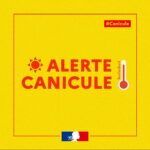 Alerte canicule : adoptons les bons réflexes
